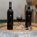 Vini buoni d’Italia: tre aziende salernitane tra le new entry