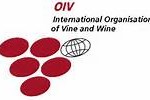 La produzione mondiale di vino nel 2013 aumenta in modo significativo mentre il consumo si stabilizza
