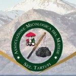 Mostra Mercato del Tartufo del Matese