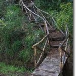IKEA e WWF Insieme per la conservazione Bosco degli Astroni