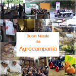 Buon Natale!