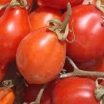La filiera cremonese della trasformazione del pomodoro fresco premiata dalla Ue