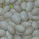 Fagioli di Gorga