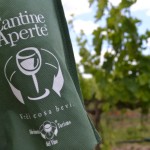 Al Vinitaly tutte le novità e gli appuntamenti del Movimento Turismo del Vino