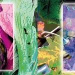 Il Carciofo di Paestum IGP e i prodotti della Piana del Sele incontrano i vini campani – Presentazione dell’edizione 2014 della Guida delle aziende vitivinicole campane