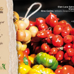 Contadini e Territorio: un’alleanza virtuosa con Gold Blond