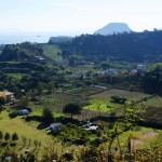Resilienza: “Custodi” di Terra Flegrea