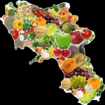 IX Edizione Frutta dell’Autunno e XXVII Mostra Pomologica