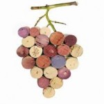 Autochtona, il Forum nazionale dei vini autoctoni compie 11 anni