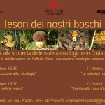 Corso di micologia in Costa d’Amalfi
