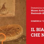 Il bianco che nutre