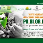 Al via la fase dimostrativa per le pacciamatura biodegradabile per colture orticole e frutticole
