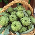Stellati, giovani promesse e appassionati insieme in nome del bianco del Tanagro
