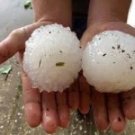La grandine extra large mette a dura prova la vendemmia irpina