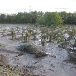 Slow Food Campania per #SaveSannio