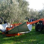 Tecnologie innovative per l’olivicoltura