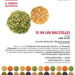 15 in un baccello