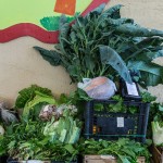 Per la tua tavola scegli buono, pulito e giusto…scegli il Paniere Flegreo