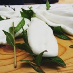 StoriediPane:Un nuovo appuntamento con i laboratori del gusto dedicato ai formaggi (cilentani e non)