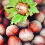 CIBUS, Fedagri Campania plaude alla capacità dei CONSORZI DI TUTELA di fare rete nel nome dell’agroalimentare campano