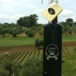 Nasce l’Angelo Bianco: il nuovo liquore a base di carciofo bianco di Pertosa