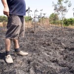 INCENDIO AI TERRENI DELLA COOPERATIVA AL DI LÀ DEI SOGNI CONFCOOPERATIVE CAMPANIA: “SIAMO VICINI AI NOSTRI AMICI COOPERATORI”