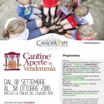 Un Giorno in Vendemmia alla Tenuta Cavalier Pepe