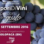 SaporiDiVini percorsi del gusto