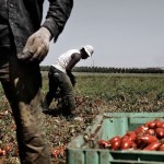 Gastronomia libera: diciamo no ad agromafie e contraffazione
