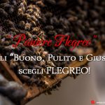 Scegli “Buono, Pulito e Giusto”, scegli Flegreo!