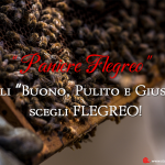 Il Paniere Flegreo a Scrivere di Cibo