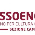 Viticoltura e cambiamenti climatici: conseguenze e interventi