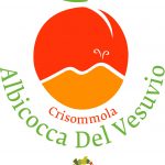 Nasce il Presidio Slow Food dell’Albicocca del Vesuvio