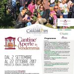 Enoappassionati è il momento di vivere le Cantine in Vendemmia
