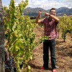 Vendemmia 2017: la qualità è bio