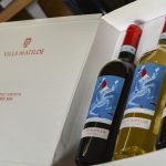 “ Falerno in Arte” le etichette d’artista di Antonio Nocera per il Falerno del Massico di Villa Matilde