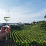 Malazè: tutti gli eventi in settimana