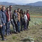 Carciofo Bianco del Tanagro: è nata la Rete dei Produttori!