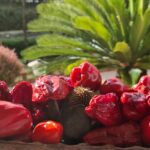 Slow Food celebra i 20 anni dei Presìdi e i 1000 prodotti sull’Arca del Gusto italiana: emblemi dell’impegno a tutela della biodiversità
