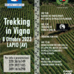 Ritorna il trekking in vigna